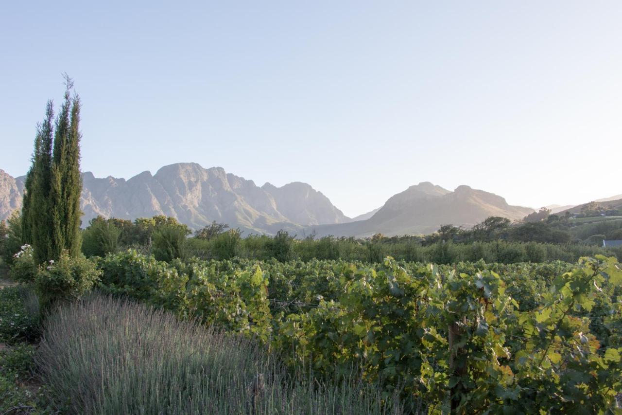 La Cle Lodge Franschhoek Exteriér fotografie